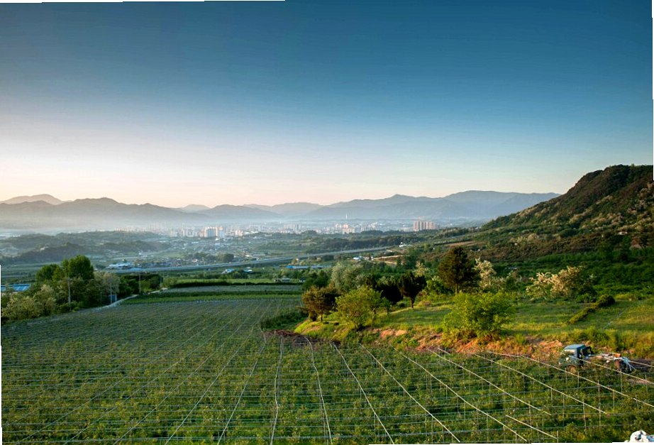 거창 농장 체험 풍경