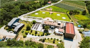 거창 블루베리 농장 체험 완벽 가이드