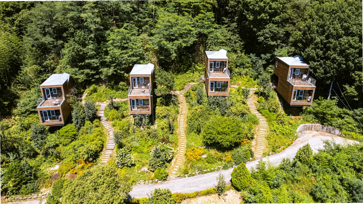 거창 농장 블루베리 수확