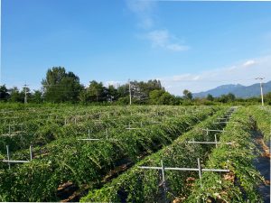 거창 주말 나들이 코스 추천